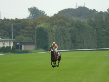 2005/10/09 東京11R