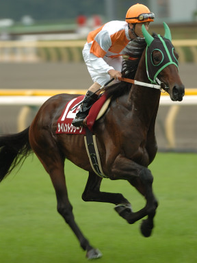 2005/10/09 東京11R