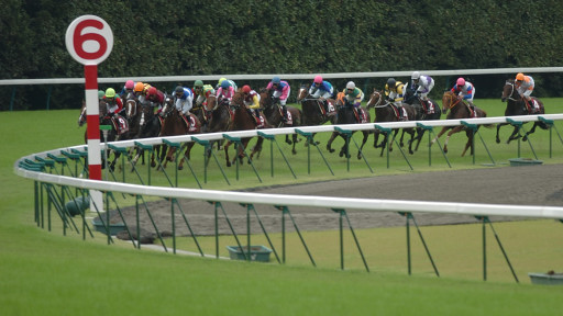 2005/10/09 東京11R
