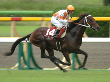2005/10/09 東京11R