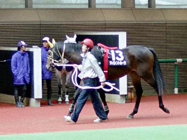 2001/11/03 福島09R