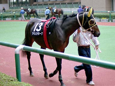 2001/11/03 福島09R