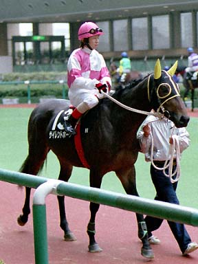 2001/11/03 福島09R