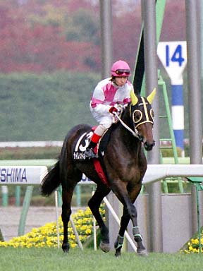 2001/11/03 福島09R