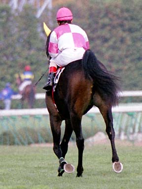 2001/11/03 福島09R