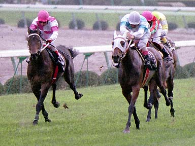 2001/11/03 福島09R