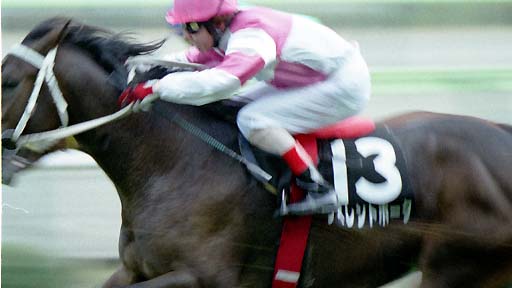 2001/11/03 福島09R