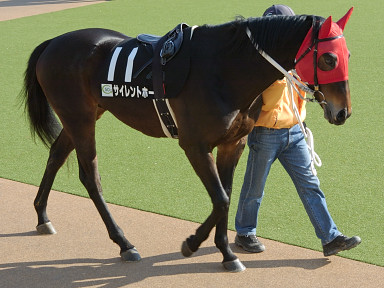 2004/02/08 東京10R