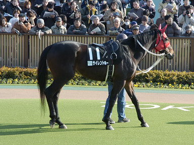 2004/02/08 東京10R