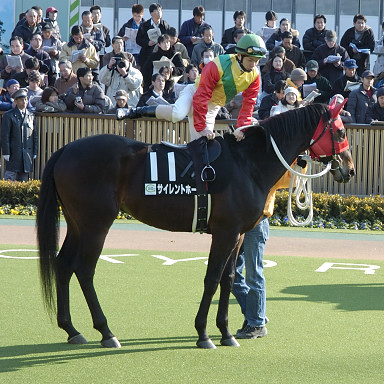 2004/02/08 東京10R