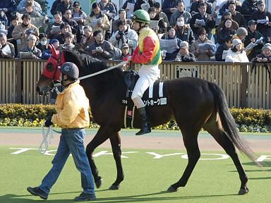2004/02/08 東京10R