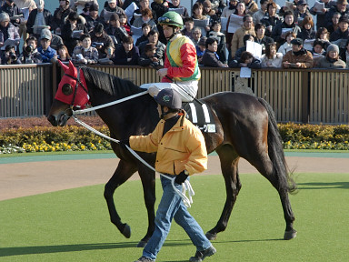 2004/02/08 東京10R