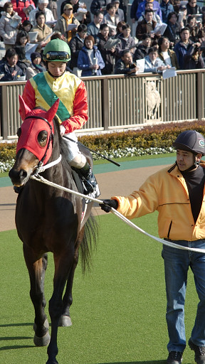 2004/02/08 東京10R