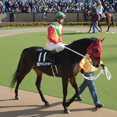 2004/02/08 東京10R