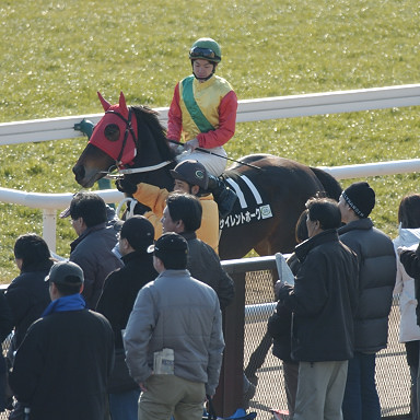 2004/02/08 東京10R