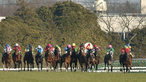 2004/02/08 東京10R