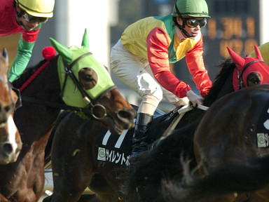 2004/02/08 東京10R