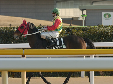 2004/02/08 東京10R