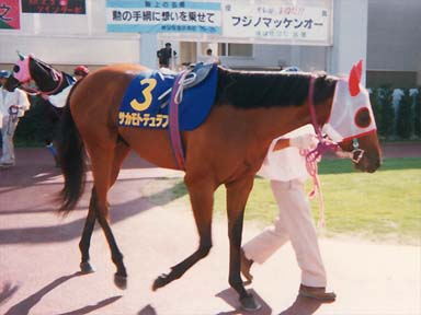 1996/08/13 盛岡10R