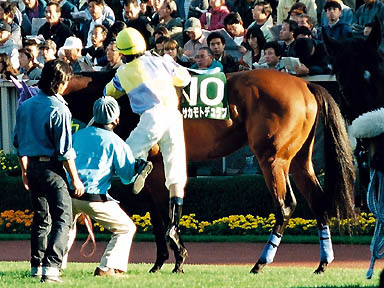 1997/11/09 東京11R