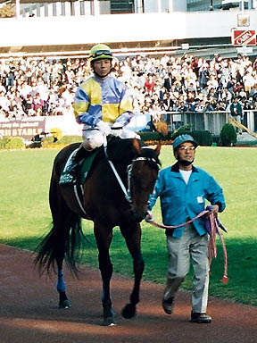 1997/11/09 東京11R