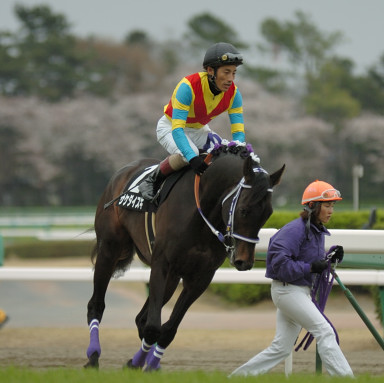 2008/03/30 中山10R