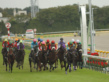 2008/10/18 東京10R