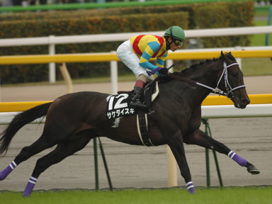 2008/10/18 東京10R