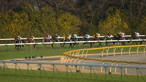 2009/02/15 東京11R