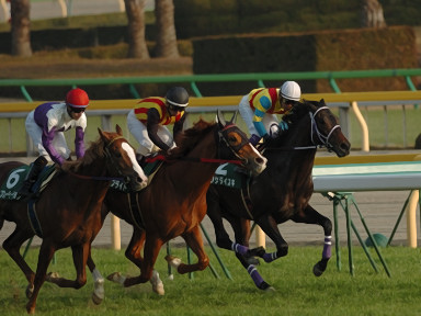 2009/02/15 東京11R