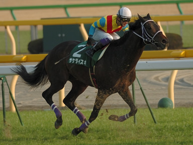 2009/02/15 東京11R