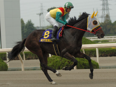 2008/10/03 c06R