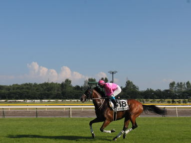 2012/08/05 新潟12R