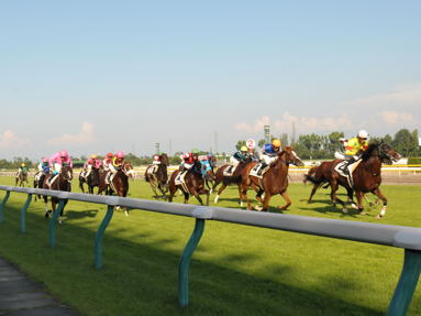 2012/08/05 新潟12R