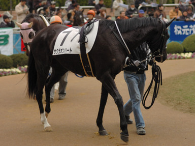 2010/01/11 ���R07R