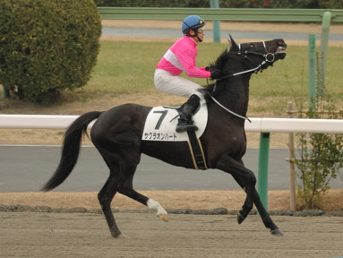 2010/01/11 ���R07R