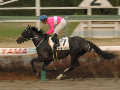 2010/01/11 ���R07R