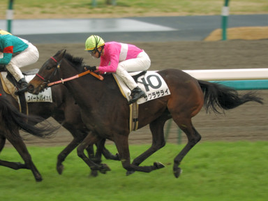 2010/03/07 中山08R