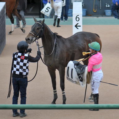 2025/01/12 中山06R