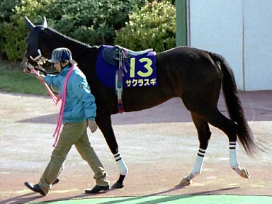 2002/11/04 盛岡07R