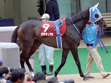 2003/10/12 東京11R