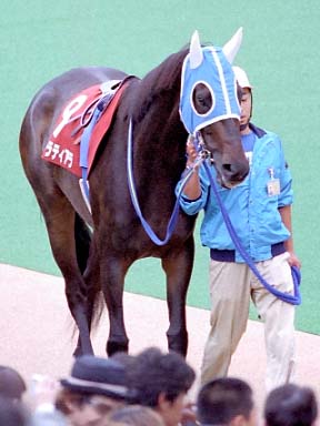 2003/10/12 東京11R