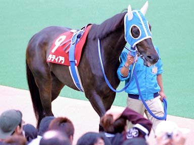 2003/10/12 東京11R