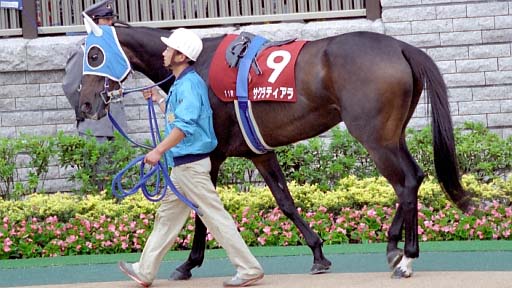 2003/10/12 東京11R
