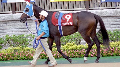 2003/10/12 東京11R