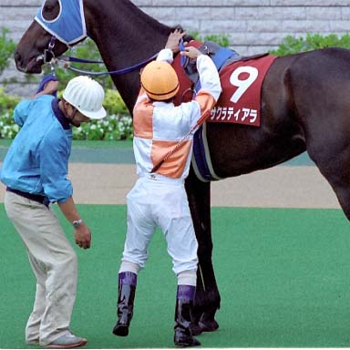2003/10/12 東京11R
