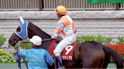 2003/10/12 東京11R