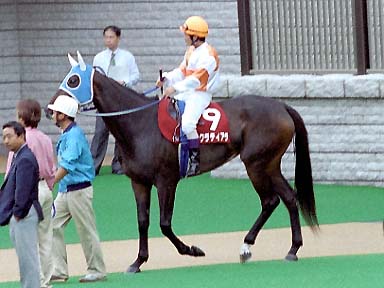 2003/10/12 東京11R