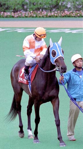 2003/10/12 東京11R