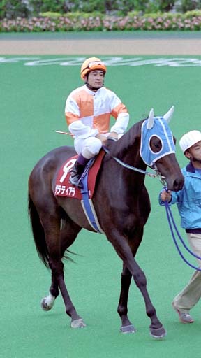 2003/10/12 東京11R